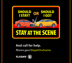 <u><h1><strong>Hit-and-Run Awareness Month</strong></h1></u>