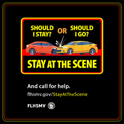 <u><h1><strong>Hit-and-Run Awareness Month</strong></h1></u>